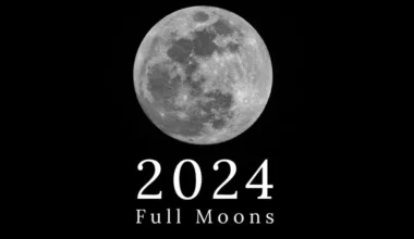 What the Full Moon in Leo 2024 Means for You